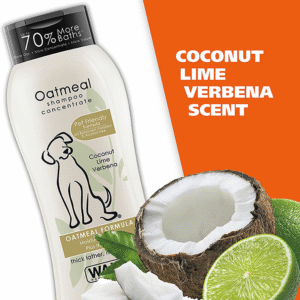 Shampoo for Dogs