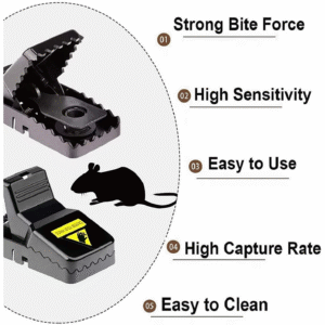 Mouse Traps